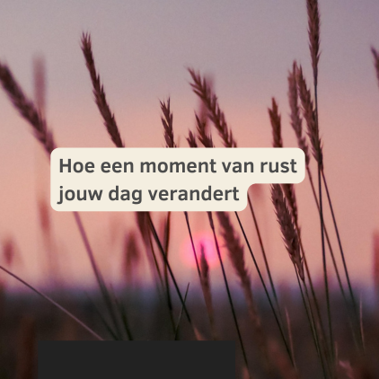 hoe een moment van rust hoe een moment van rust