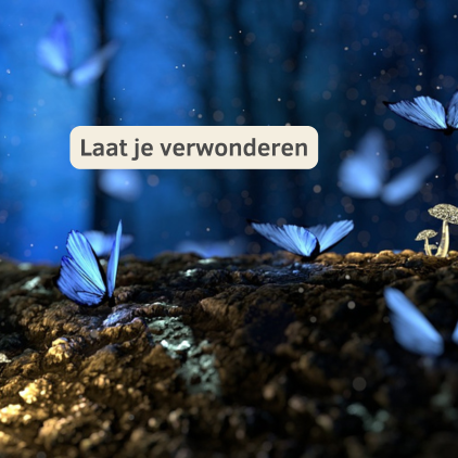 Laat je verwonderen blogafbeelding Laat je verwonderen blogafbeelding